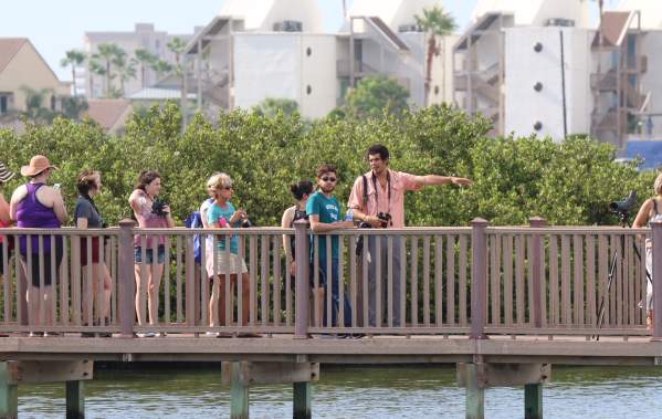 Birding-Tours