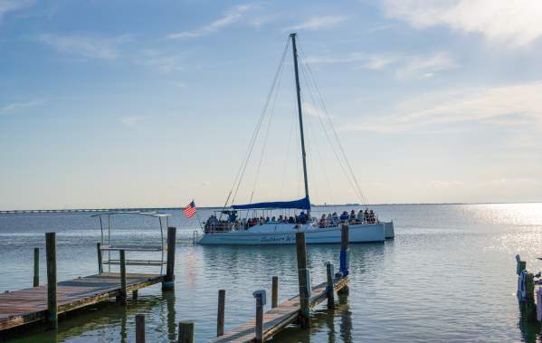 Catameran sailing on the bay