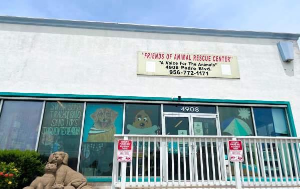 Paws, People, and a Great Purpose: The Work of Friends of Animal Rescue in our Community