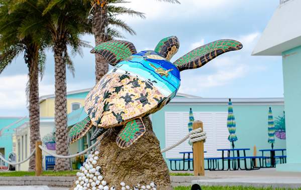 DTN - House Ads - ROS - Sea Turtle Trail