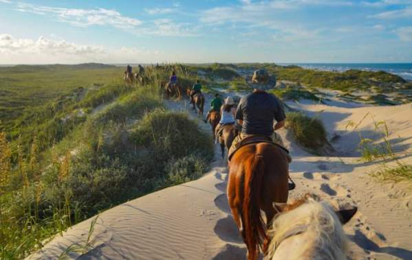 horses-on-a-trail-700x467