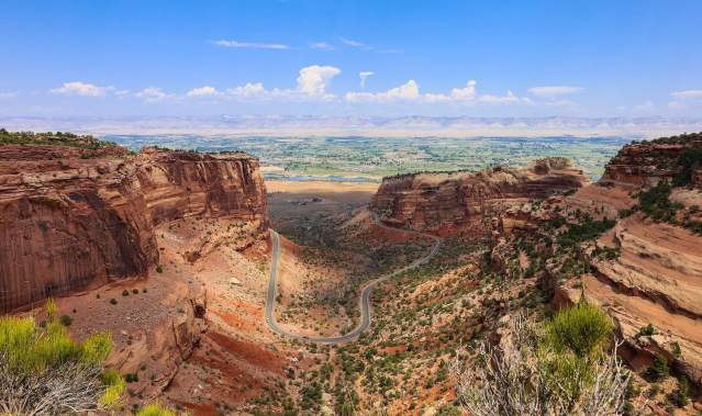 Missouri Pincushion - Colorado National Monument (U.S. National Park  Service)