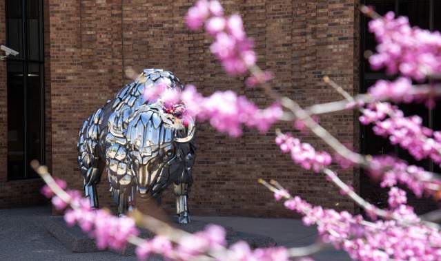 Art on The Corner with Blossoms