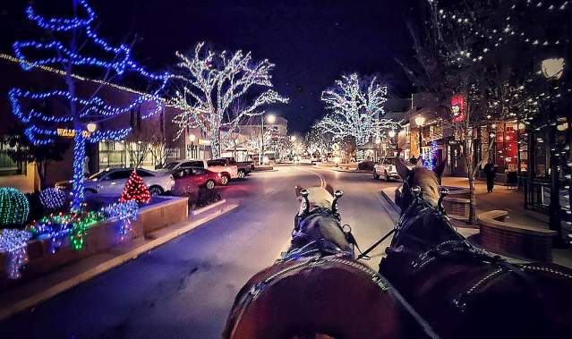 Horse Drawn Carriage Riding through Downtown with Lights
