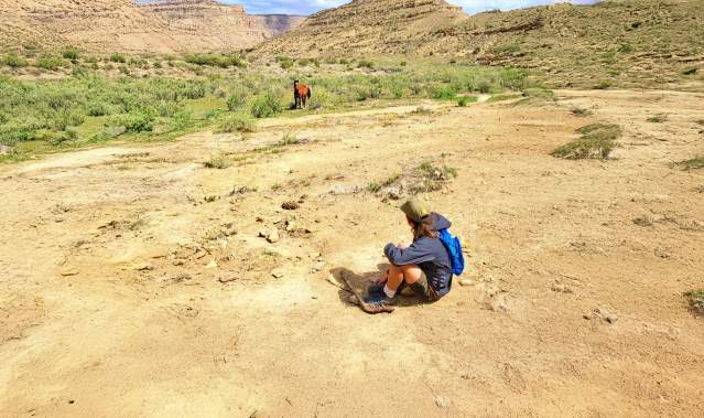 Boy Sitting Next to a Wild Horse