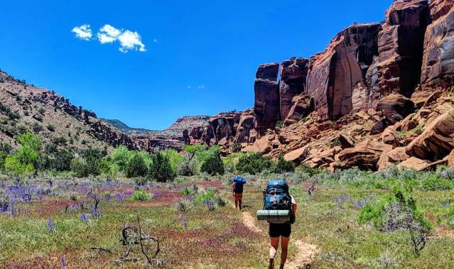 Two people hiking in Dominguez-Escalante Canyon