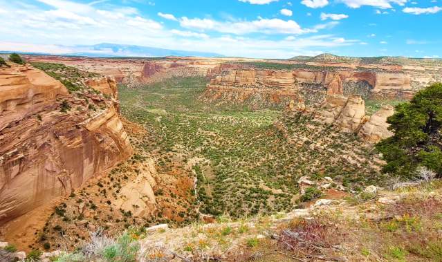 AARP Highlights Colorado National Monument as a Grand Canyon Alternative