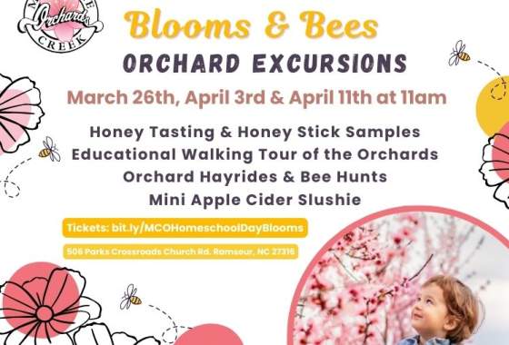 Spring Homeschool Days: Blooms & Bees