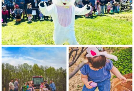 Millstone Creek Orchards features Easter Eggstravagnza