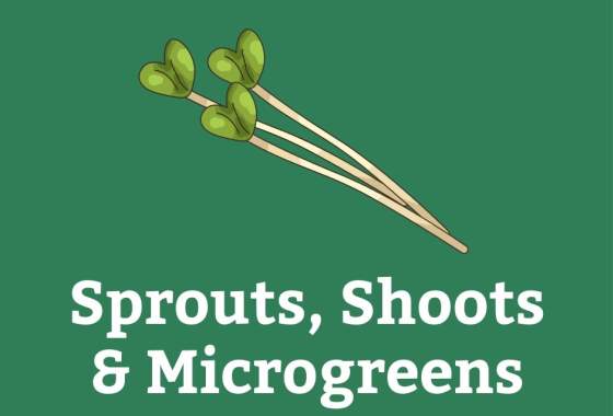 Deep River Folk School Workshop: How to Grow Sprouts, Shoots, and Microgreens