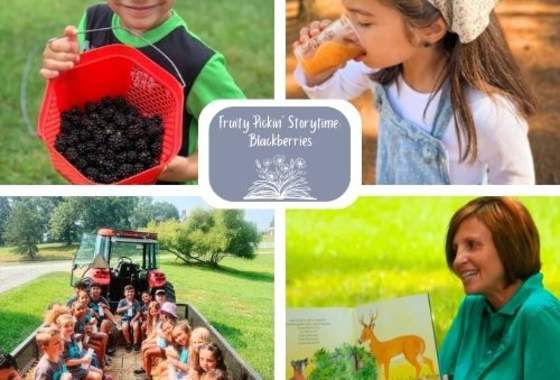 Fruity Pickin' Storytime - Blackberries