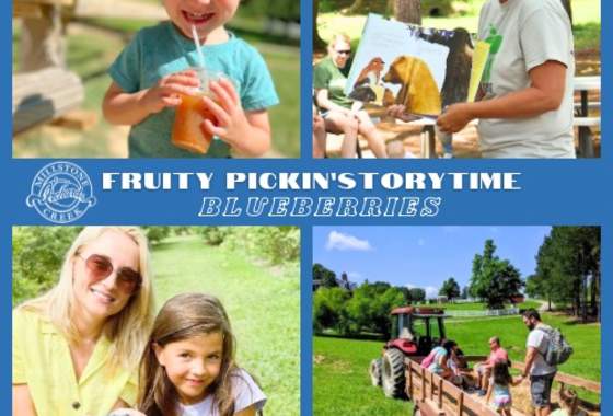 Fruity Pickin’ Storytime - Blueberries