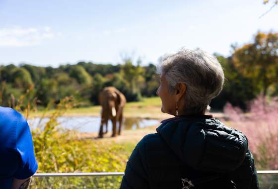 Quiet Day at North Carolina Zoo