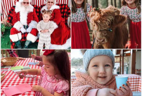 A Highland Cow Christmas Adventure Featuring Santa & Mrs. Claus