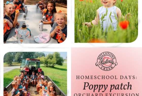 Homeschool Day: Poppy Patch Orchard Excursions