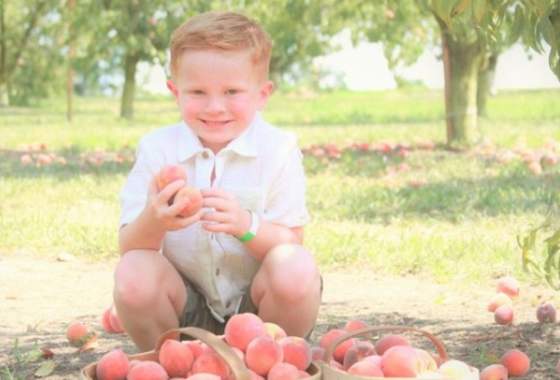 Peach & Sunflower Pickin' Adventure