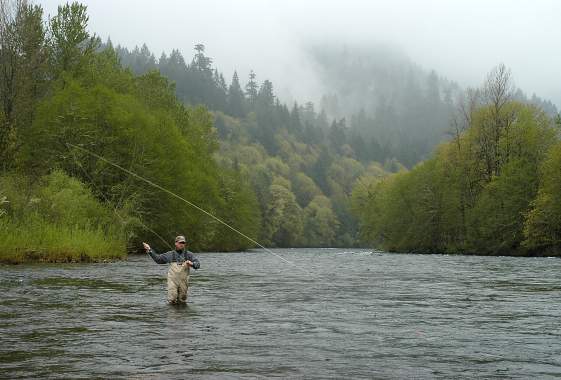 Road Trip: McKenzie River