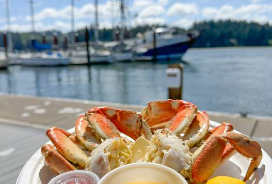 Guide to Dungeness Crab on the Oregon Coast