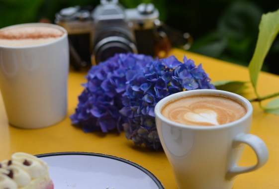 Best Eugene Coffee Shops by Neighborhood