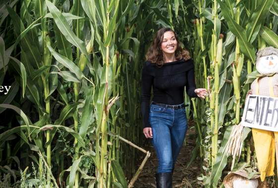 Food Trail Cornmaze with logo by Joni Kabana