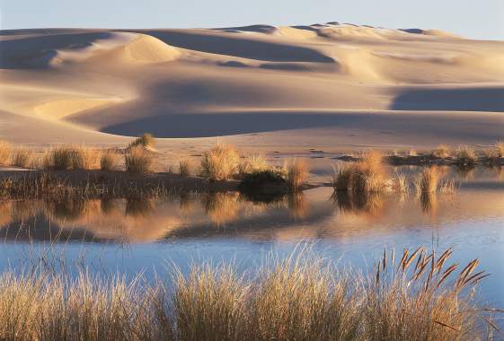 Four Ways to Explore Oregon's Sand Dunes