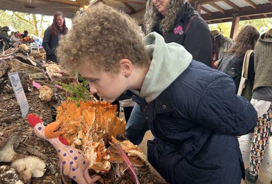 Exploring Mushrooms in Eugene