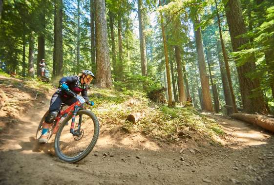 Ride in Oakridge