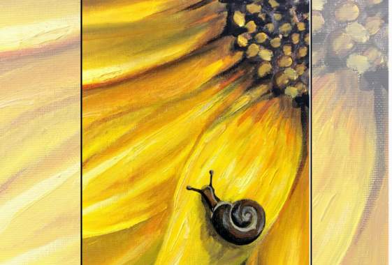 Paint & Sip: “Snail on Sunflower”
