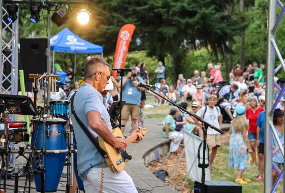 Concerts in the Park