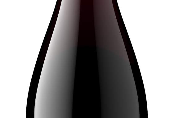 Sweet Cheeks Exclusive UO Wine