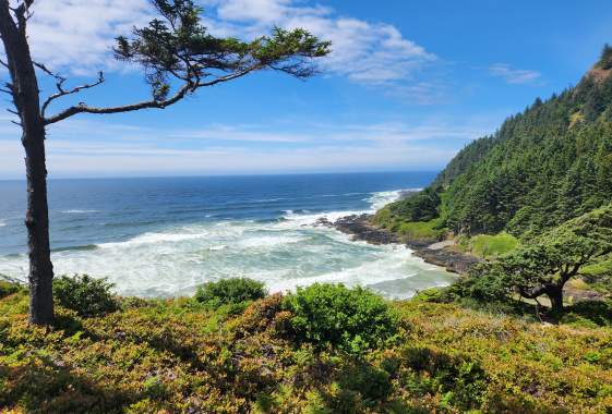 Coastal Hikes & Culinary Delights