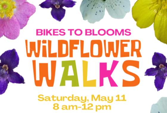 Bike to Blooms Wildflower Walks