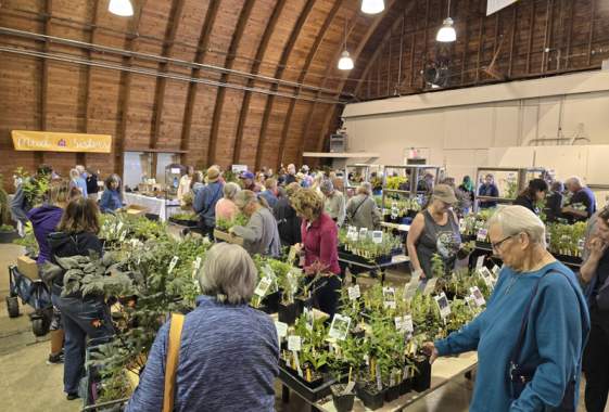 Hardy Plant Sale at Lane Events Center