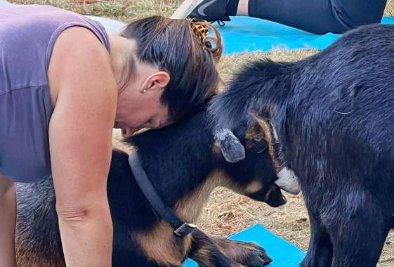 Original Goat Yoga Experience