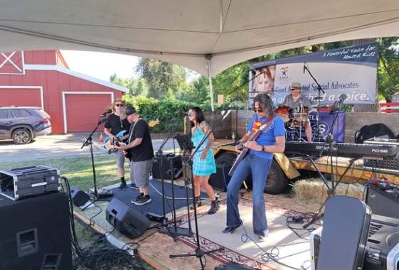 15th Annual Adkins Farm Blueberry Festival: "Blues and Brews"