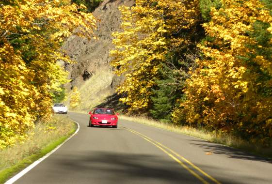 Aufderheide Byway (Road 19 - Part of the West Cascades Scenic Byway)