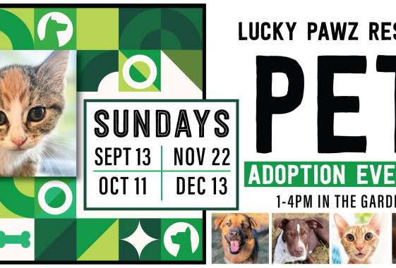 September Adoption Event with Lucky Pawz at beergarden.