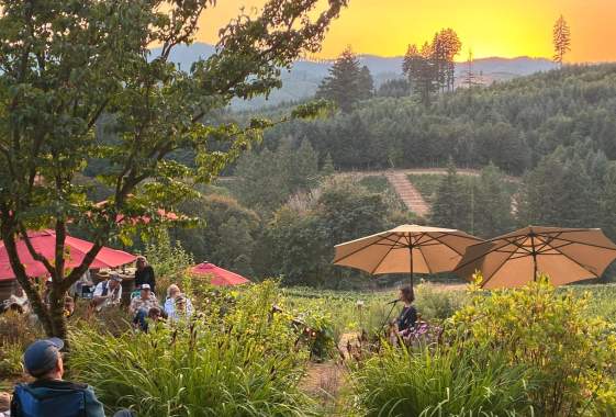 Brigadoon Wine Company Summer Sunsets Original Music Series