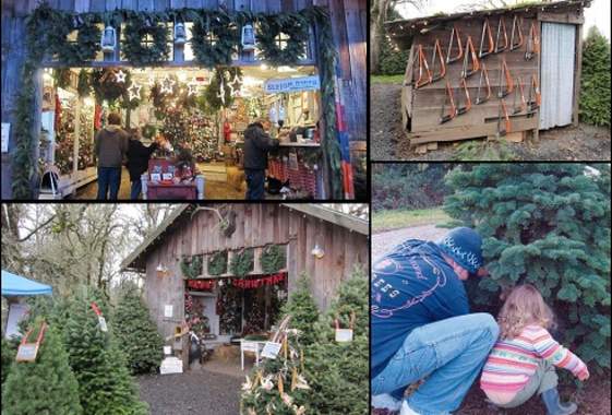 Choose 'n' Cut Christmas Trees