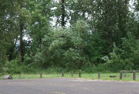 Cloverdale Access (Willamette River)