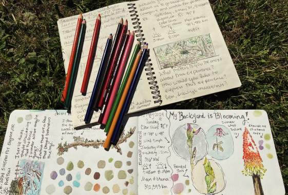 Running Wild — Connecting with Nature Through Journaling and Running