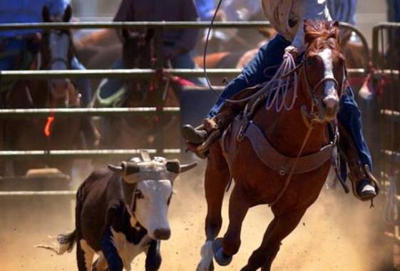 Eugene Pro Rodeo