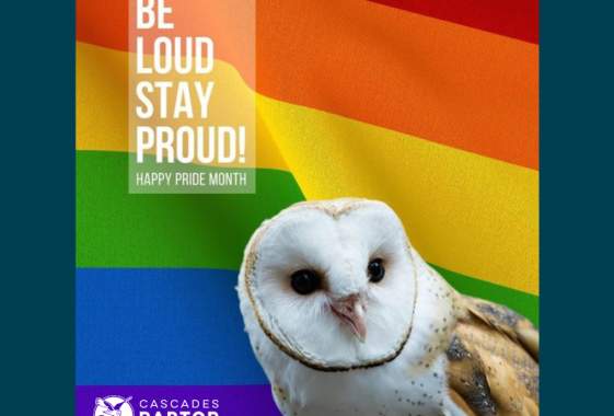 Queer Night at the Raptor Center