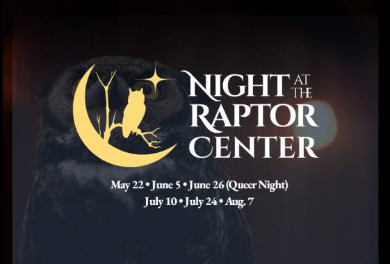 Night at the Raptor Center