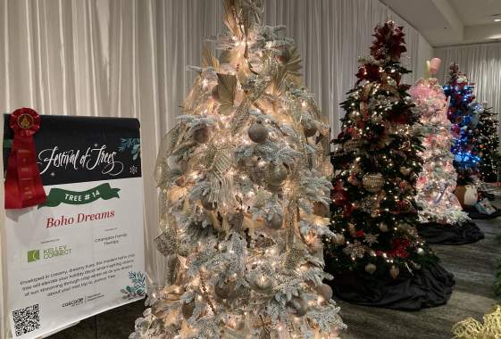 Festival of Trees