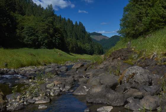 Goodman Creek Trail #3461.1