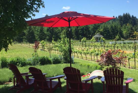 Eugene Wine Tours