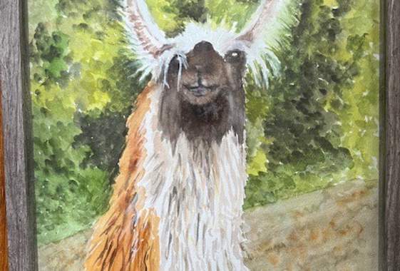 Barbara Aten - “Portraits of Animals” Art Exhibit