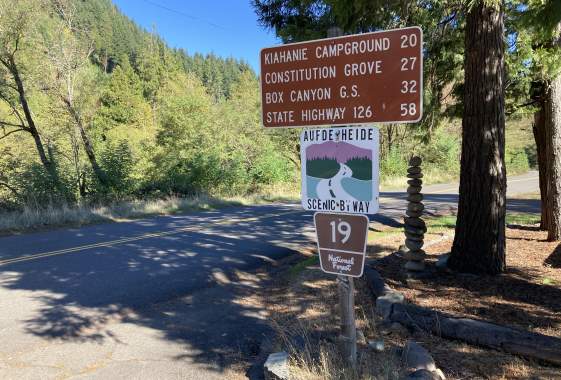 Aufderheide Drive (Forest Service Rd 19)