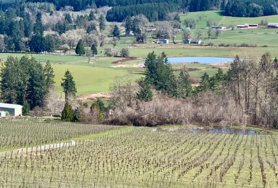 Sarver Live w/Geoffrey Louis Koch